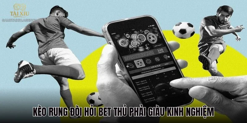 Trong cá cược kèo rung, cần đặc biệt quan tâm tới tỷ lệ kèo. 